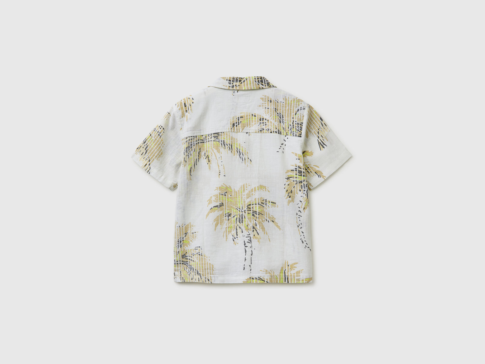 Shirt with palm trees - ucb_image_BS