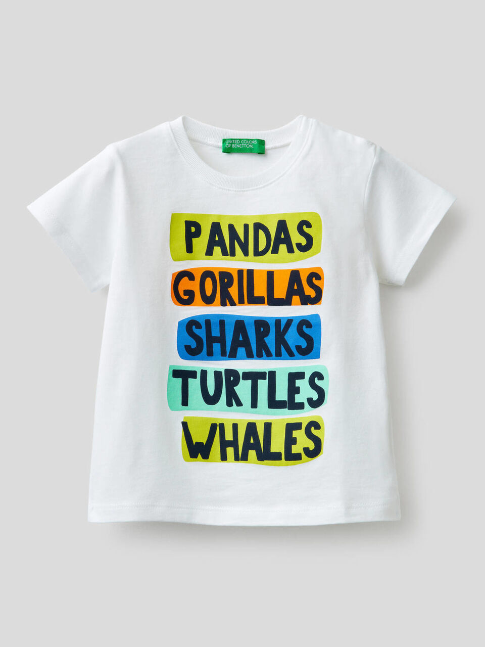 Pure cotton t-shirt with print image number 1