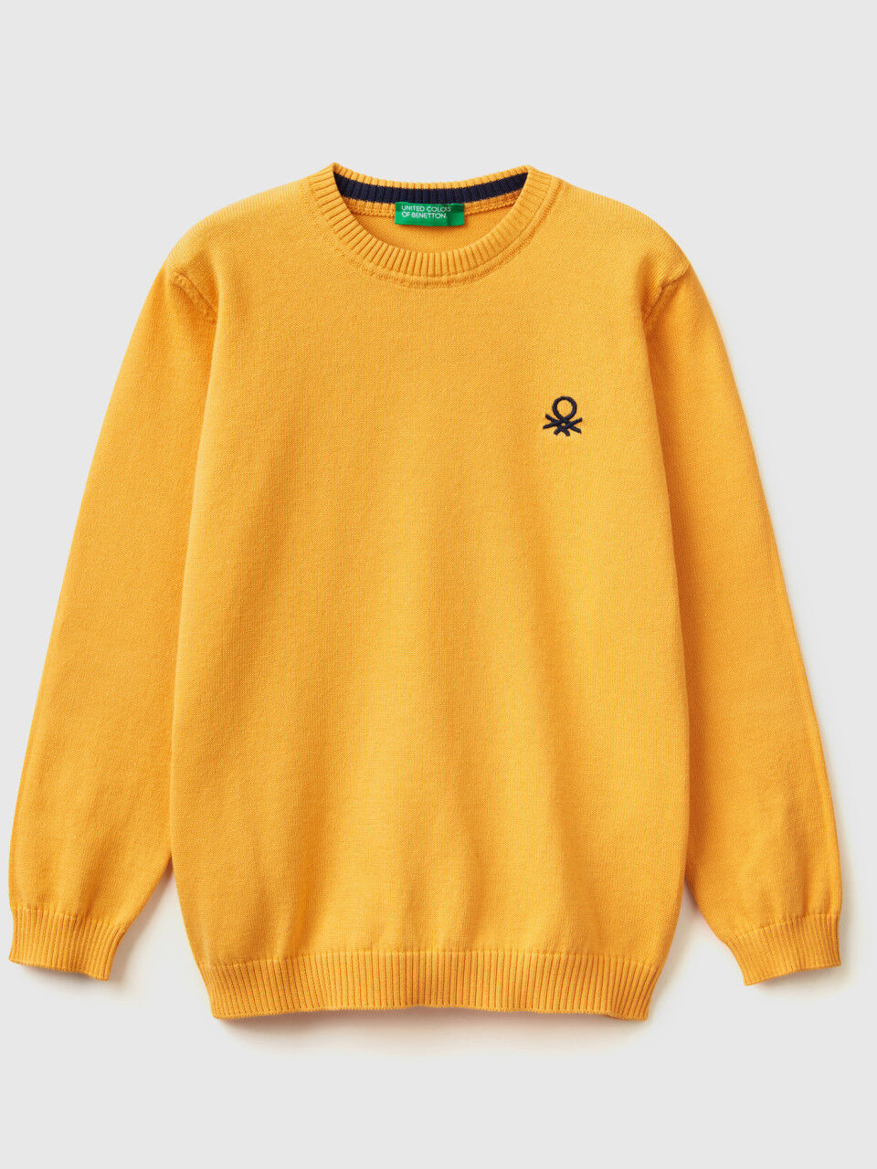 Regular fit sweater in 100% cotton